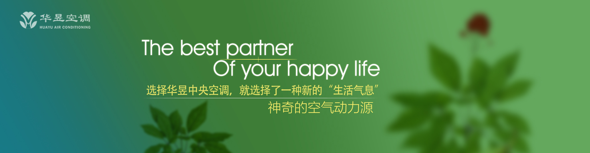 耳听心受网